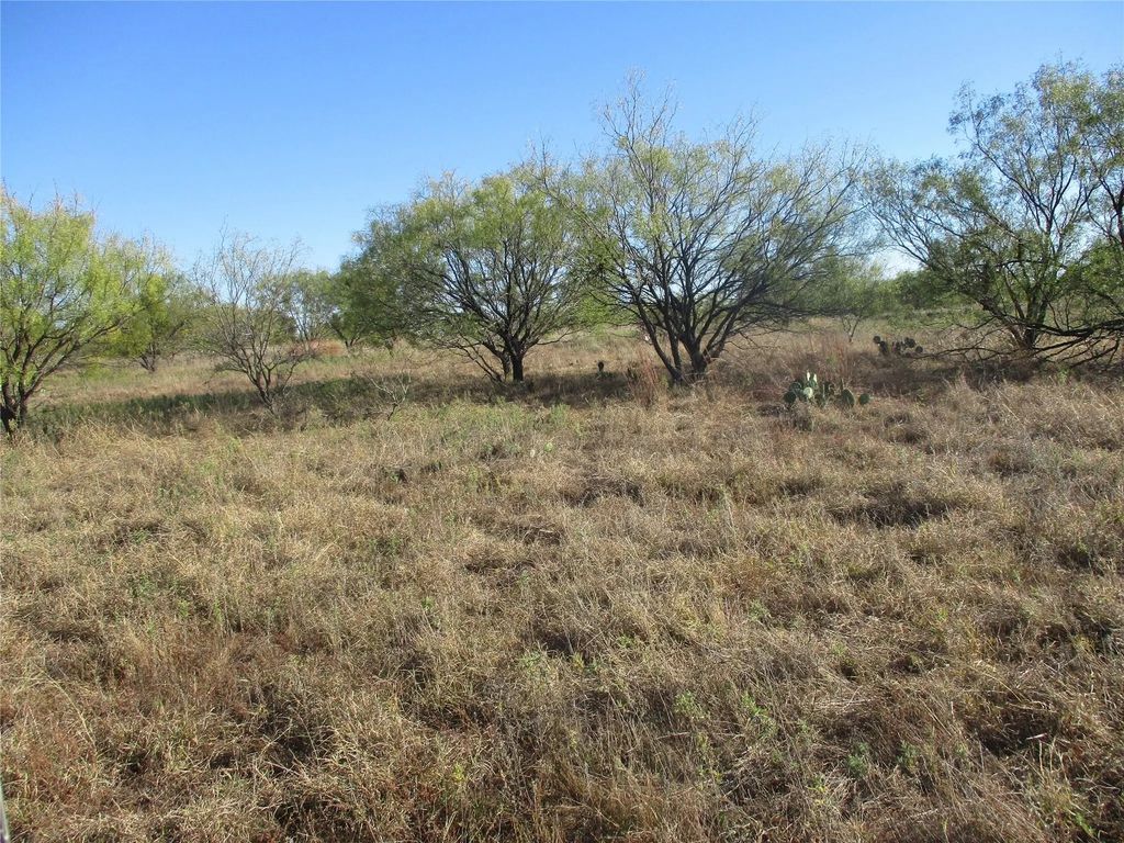 Tbd County Road 328, Eastland