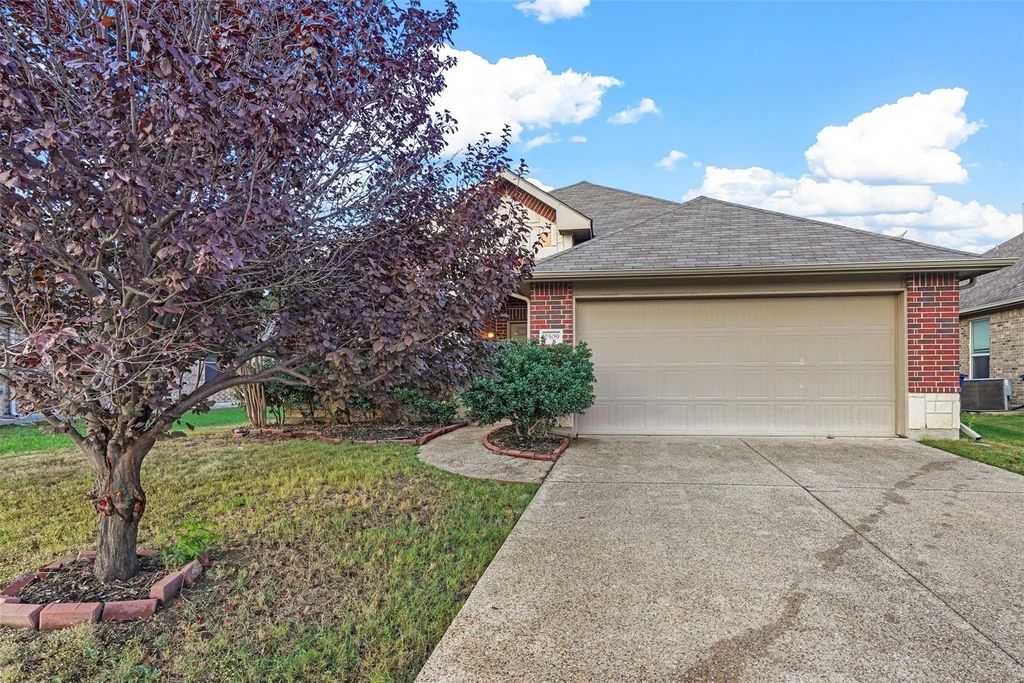 2509 Saddlehorn Drive, Little Elm