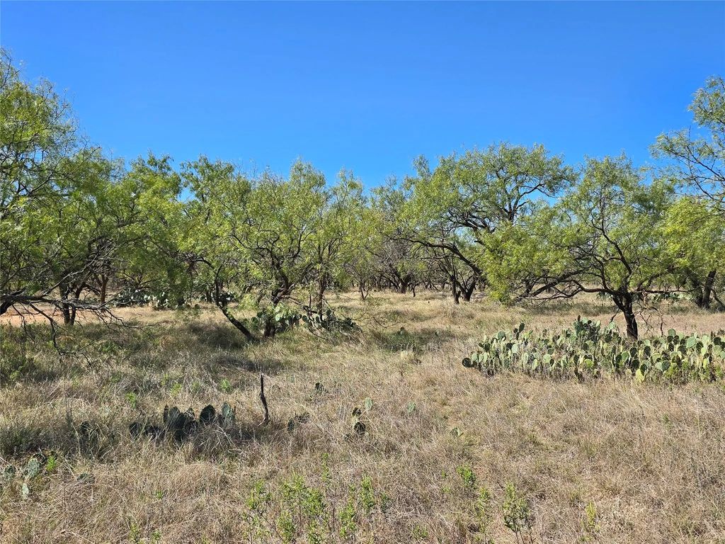 8447 County Road 210, Clyde
