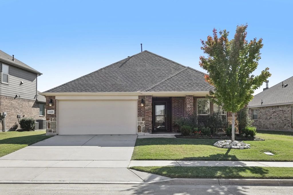 1128 Lake Meadow Lane, Little Elm