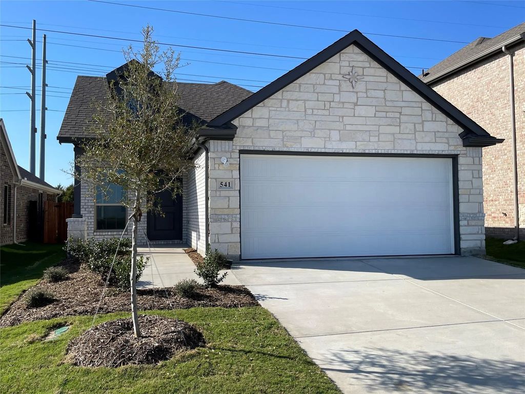 541 Epiphany Lane, Lavon