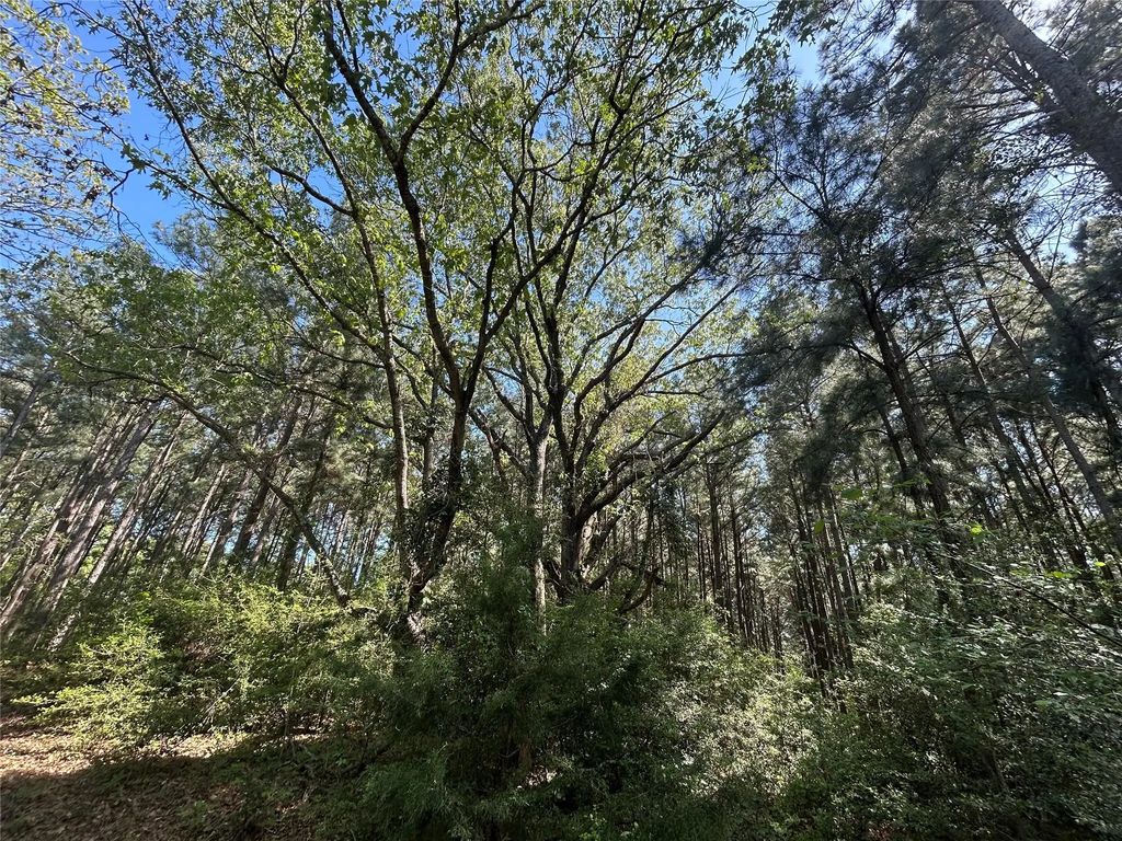 Tbd 2303 An County Road, Montalba