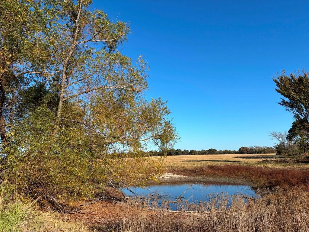Fm 1653, Ben Wheeler