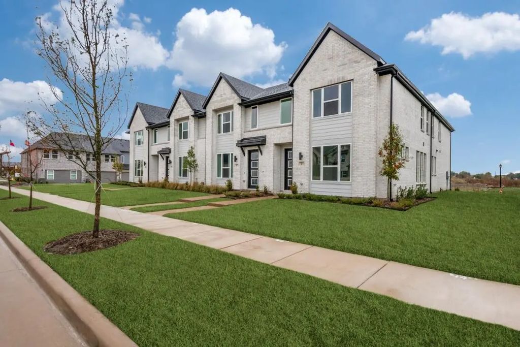 1813 Summer Aura, Mesquite