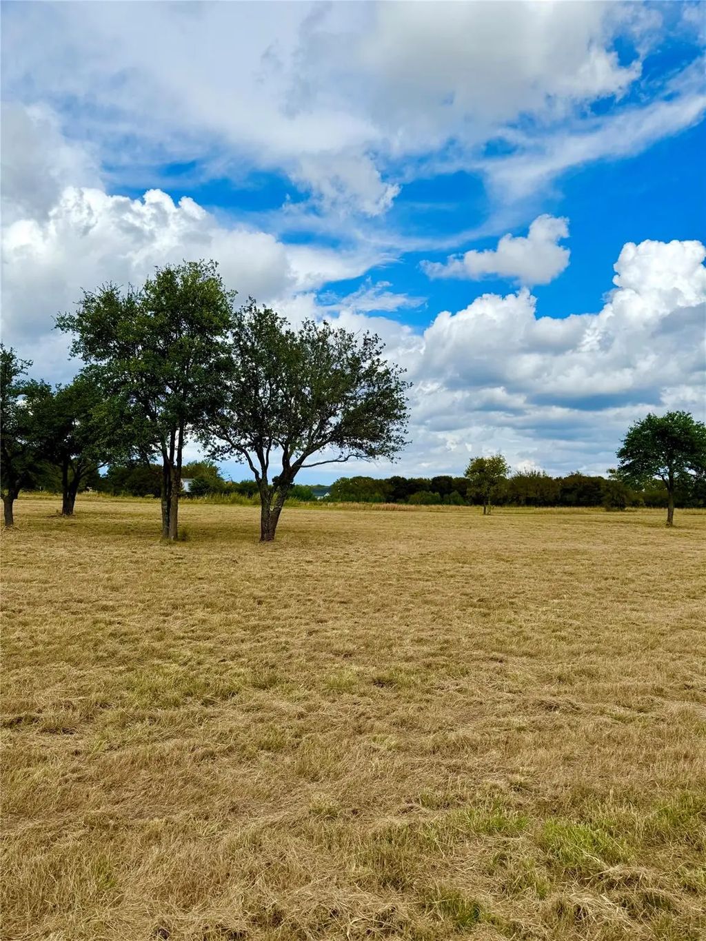 Tbd Lot 15 County Road 3811, Wills Point