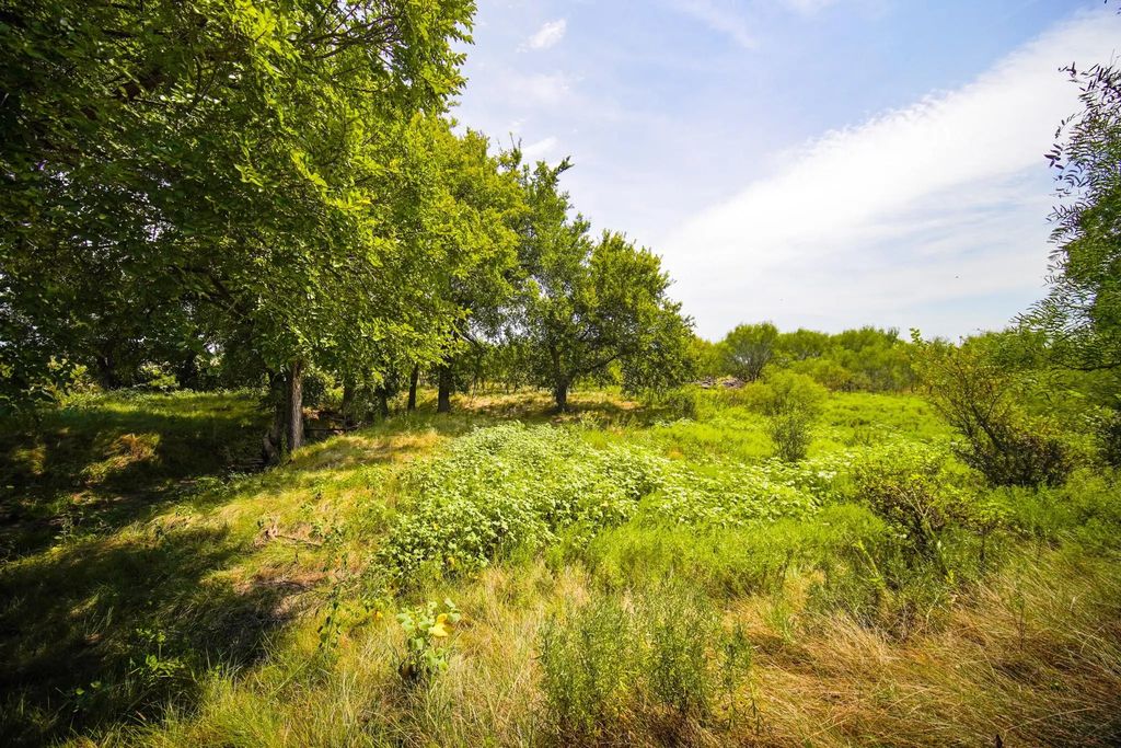 29.47 Acres Ballard Road, Jacksboro