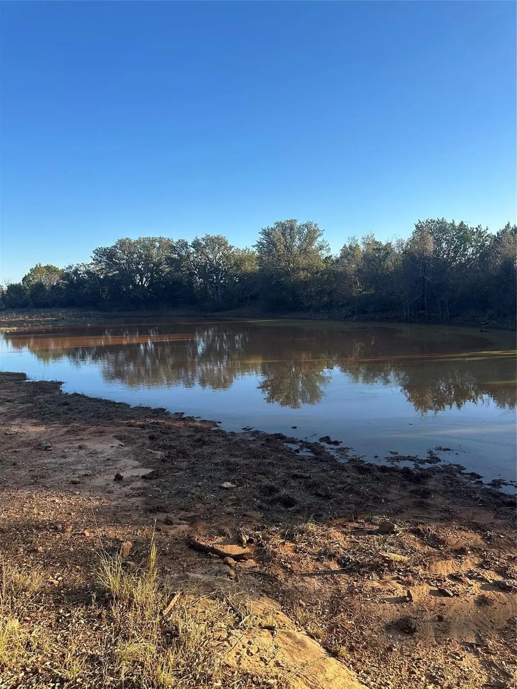 Cr 139 Thomas 75 Acre Tract, Bangs
