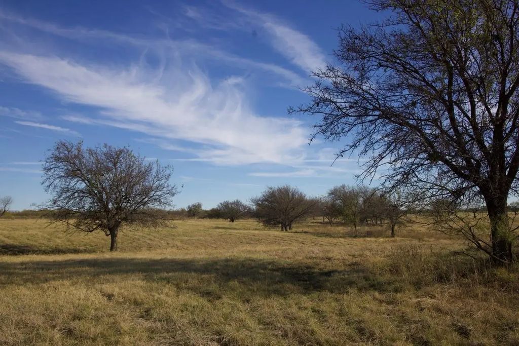 6172 Fm 1769, Graham