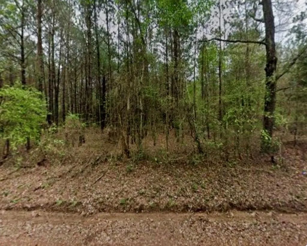 4451 County Road 3206 W, Mount Enterprise