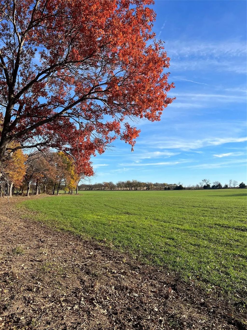 5972 Fm 2071, Gainesville