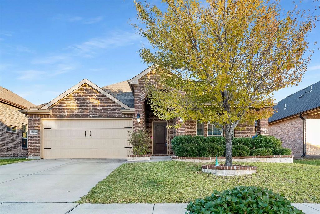3905 Shadewell Street, Frisco