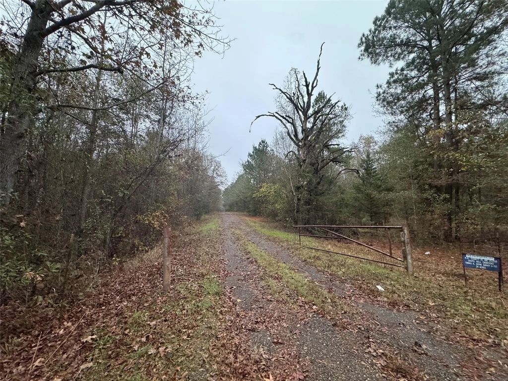 6229 County Rd 21, Tyler