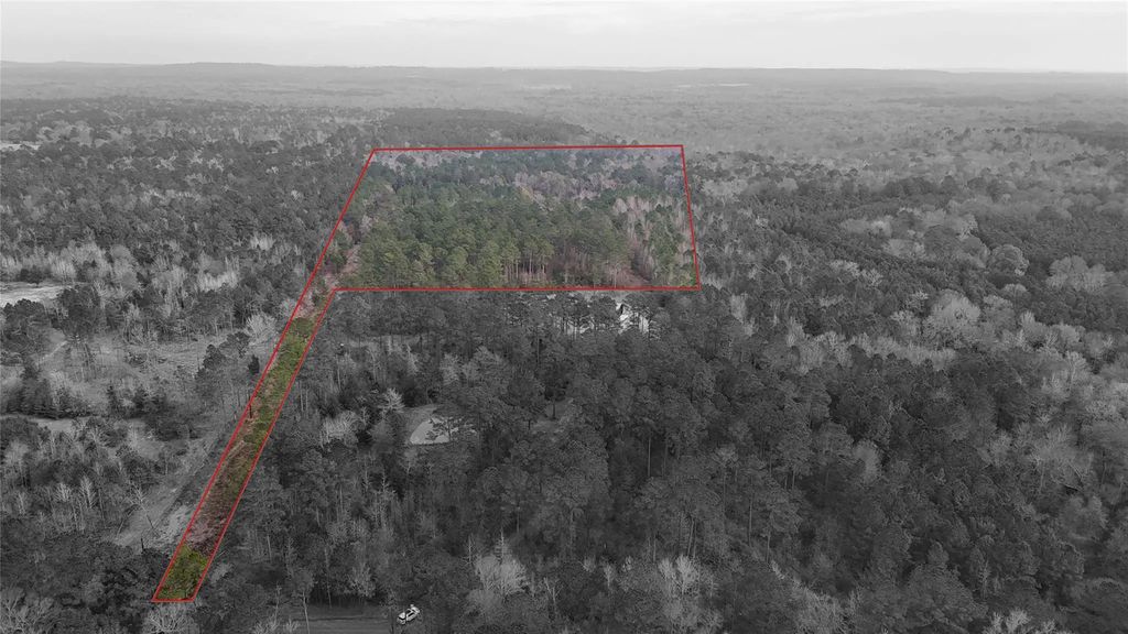 Tbd An County Road 353, Palestine