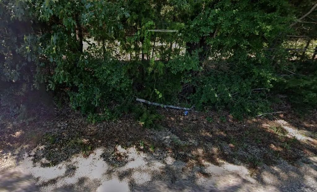 1851 County Rd 44800, Blossom