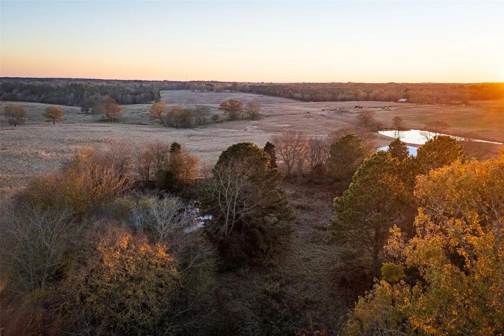 County Road 234 D, Henderson