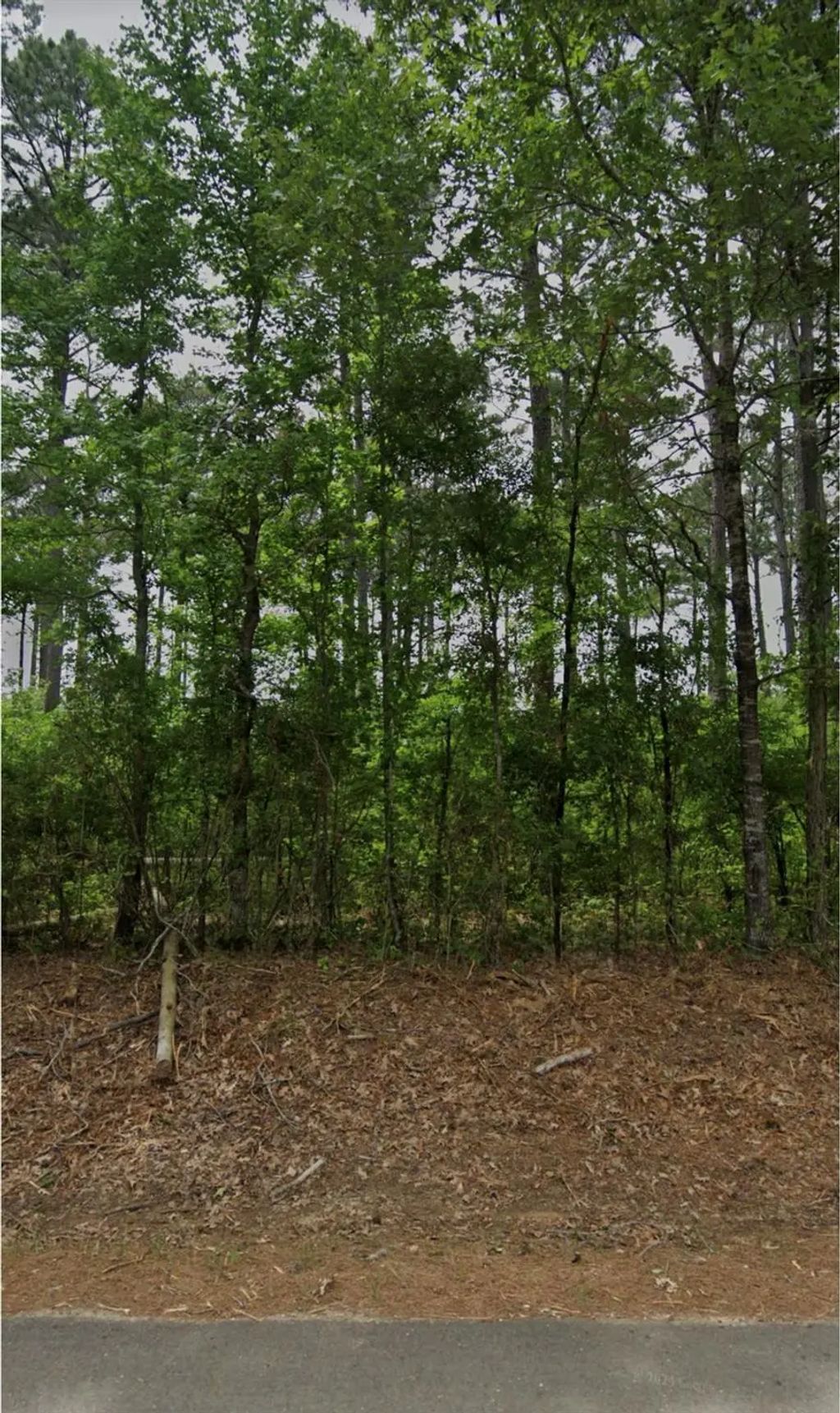 2590 Bodcau Dam Road, Benton