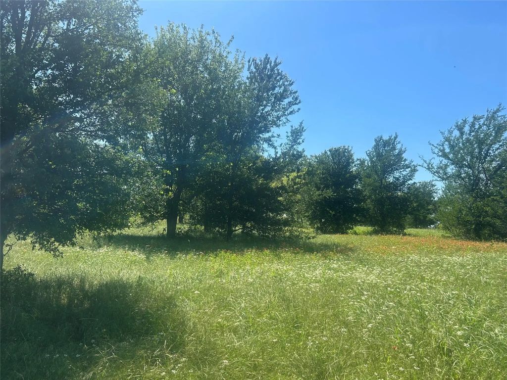 2027 Hidden Bluff Drive, Aledo