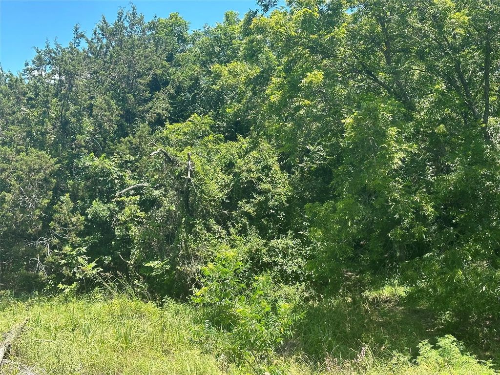 Tbd Peninsula Drive, Bluff Dale