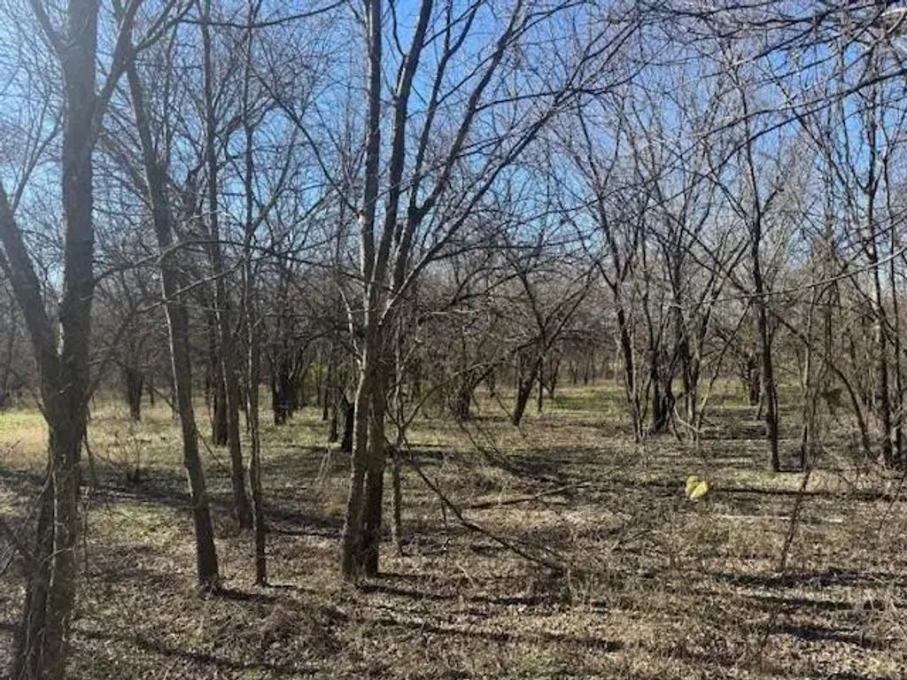 17808 County Road 656, Farmersville