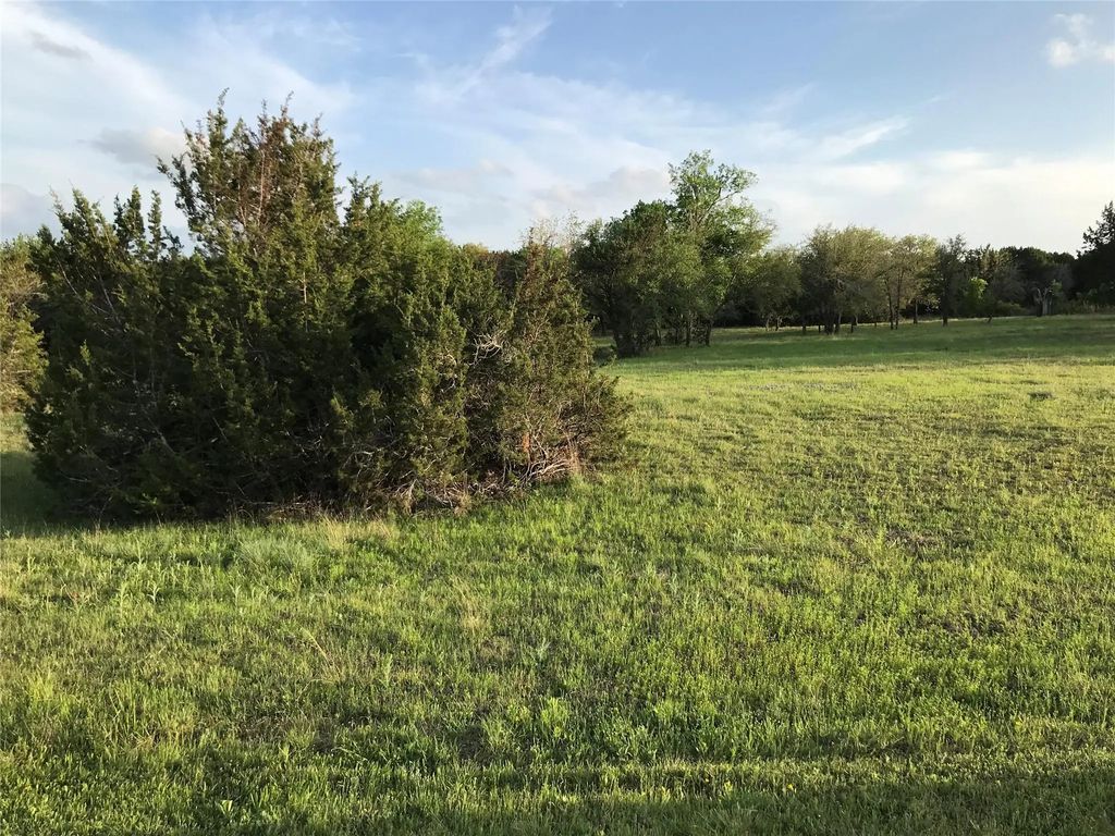 1019 White Bluff Drive, Whitney