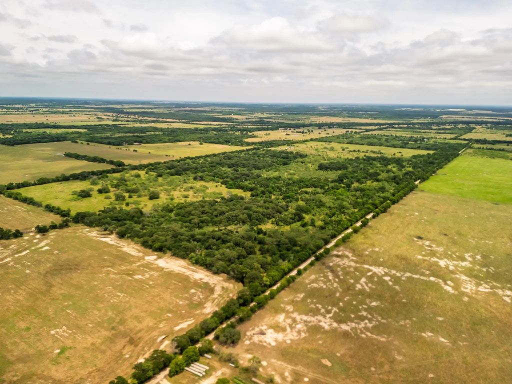 Tract 3 County Rd 159, Riesel