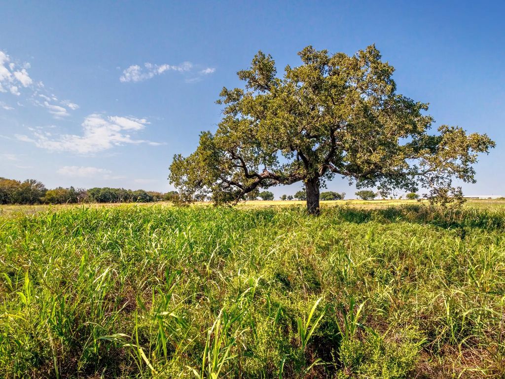 217 County Road 468, De Leon