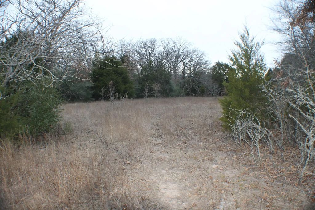 Fm 3054, Malakoff
