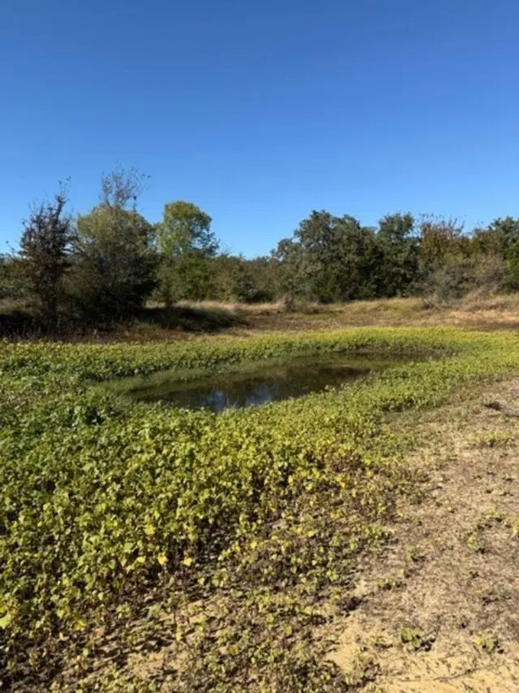 S Hwy 281, Mineral Wells