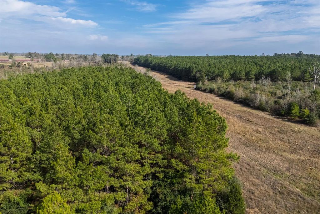 County Road 1245, Center