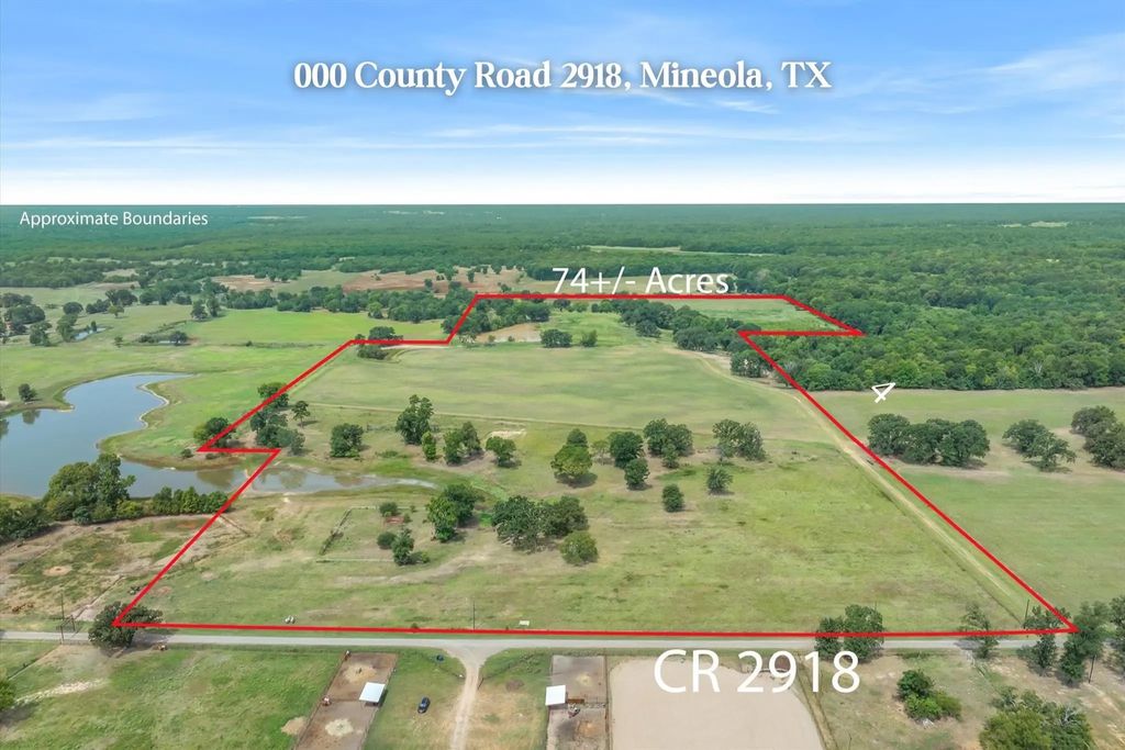 County Road 2918, Mineola