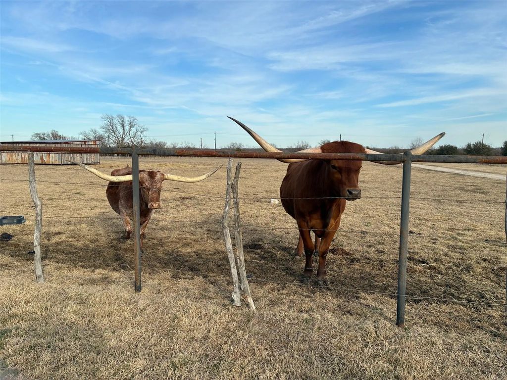 10917 County Road 290, Anna