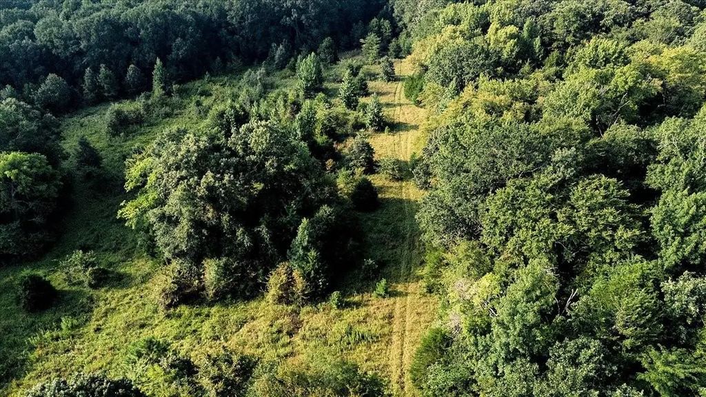 Tbd County Road 496, Lindale
