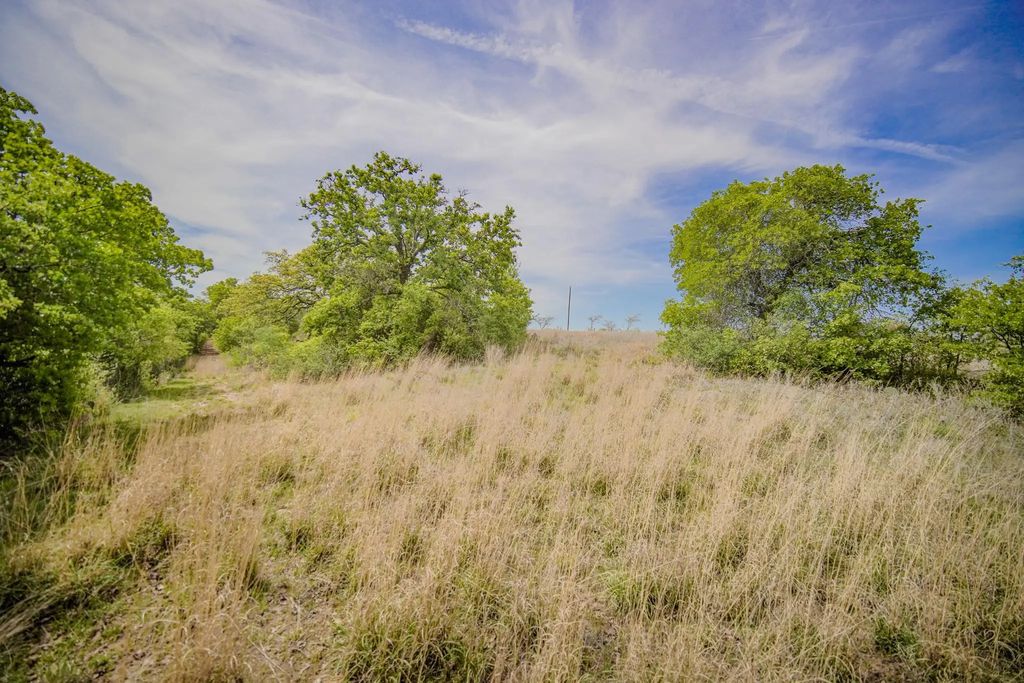 11 Acres Mountain Home Road, Jacksboro