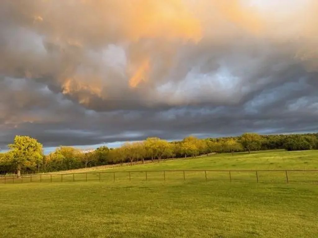 1079 Union Hill Road, Mineral Wells