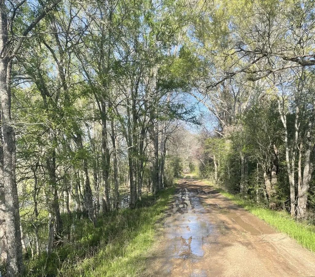 Tbd Fm 542 Road, Oakwood