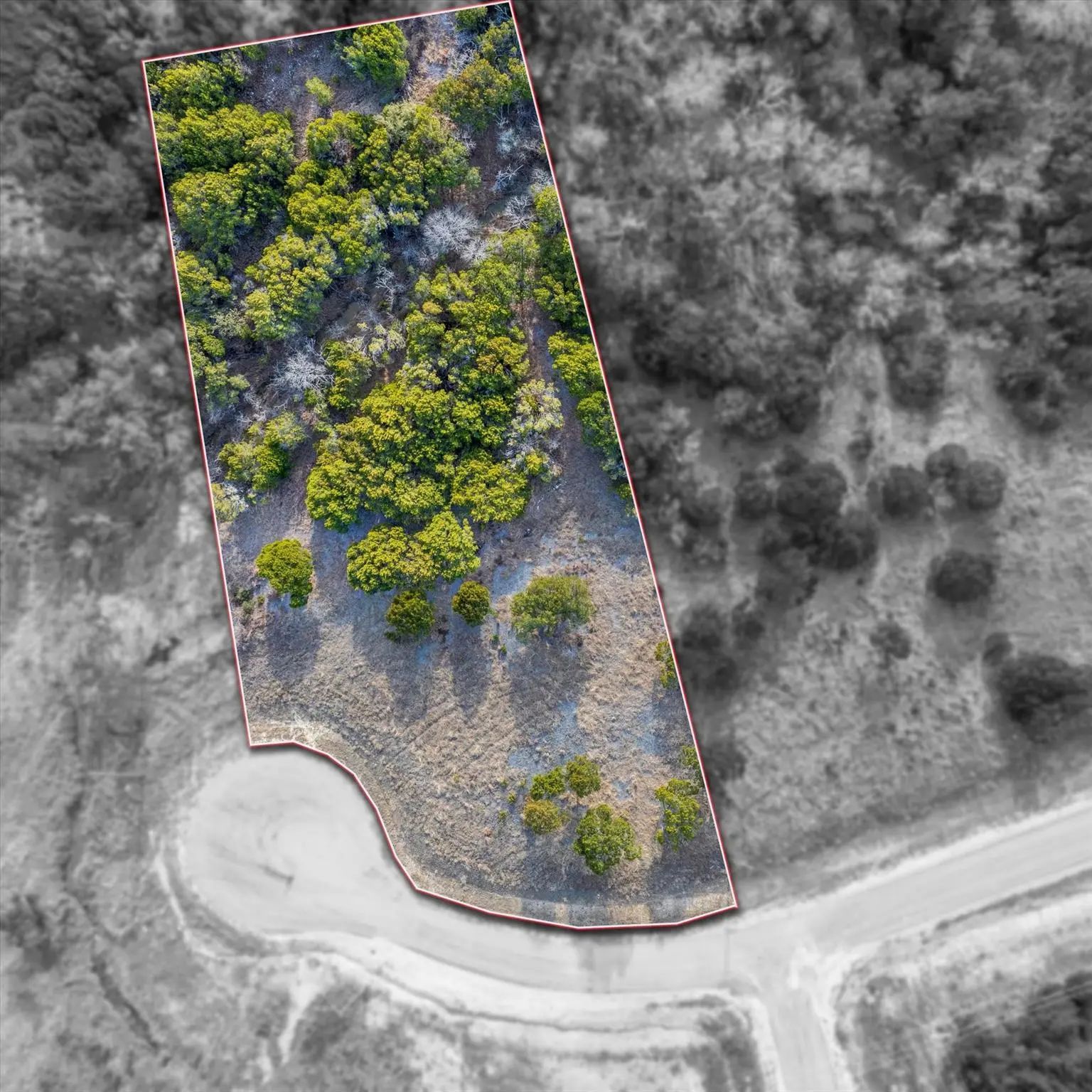 Photo of Listing #21169619