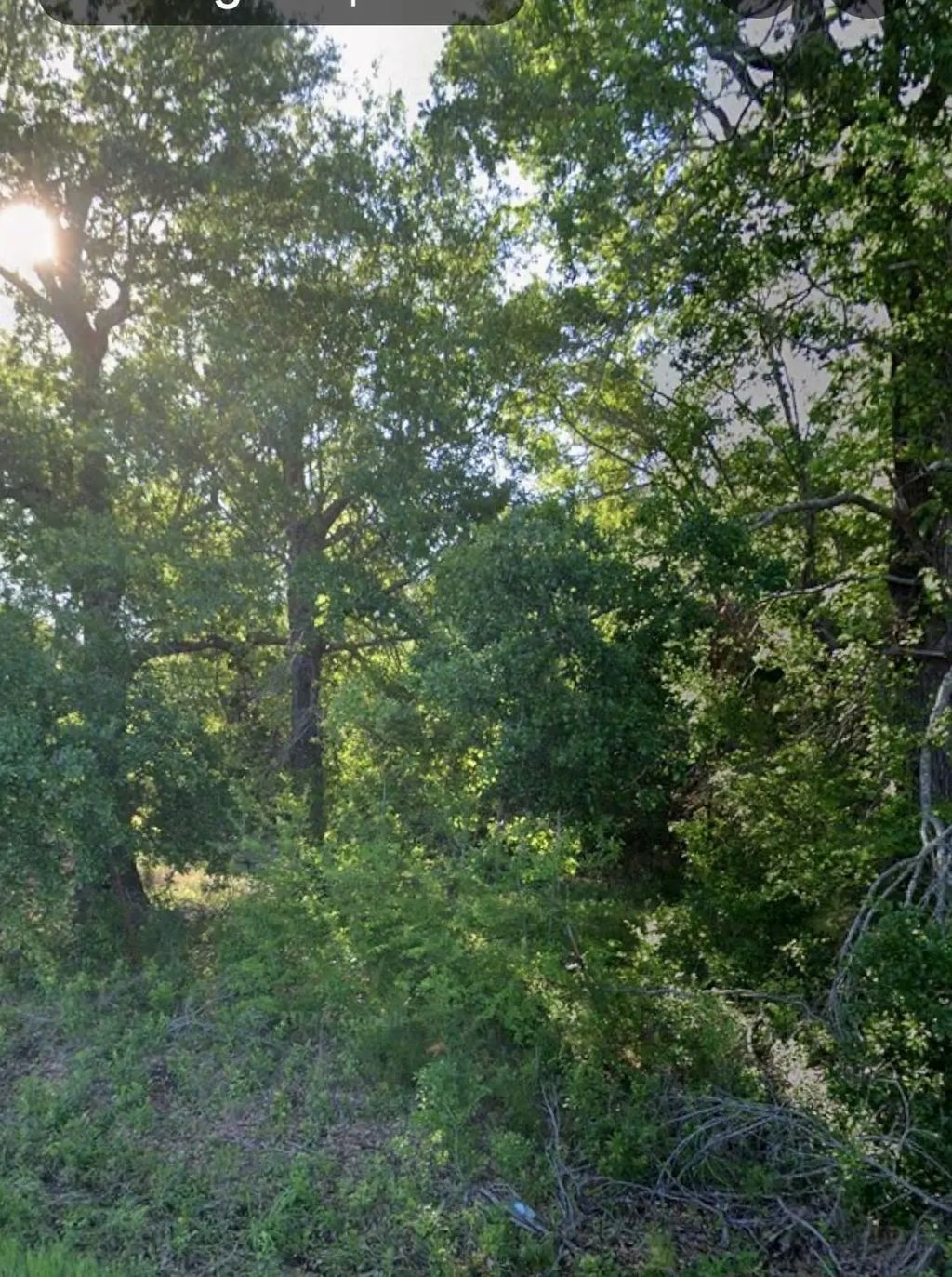 15227 County Road 2370, Streetman