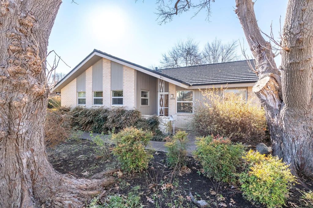 10236 Mapleridge Drive, Dallas