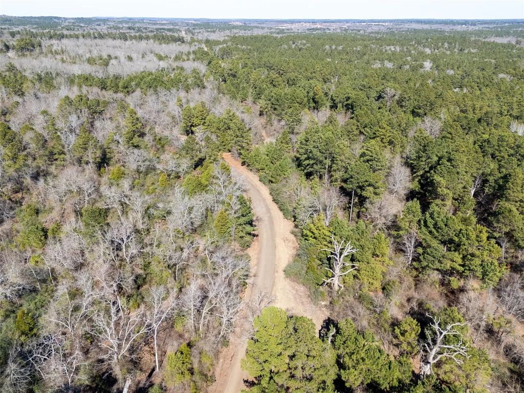 County Road 442, Palestine