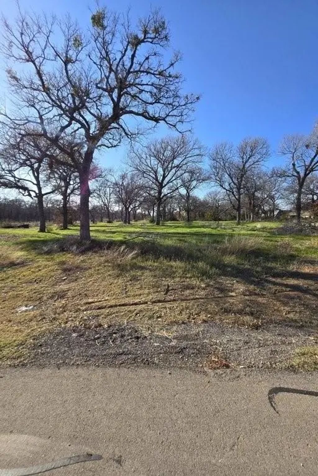 322 Arbor Cove Lane, Oak Point