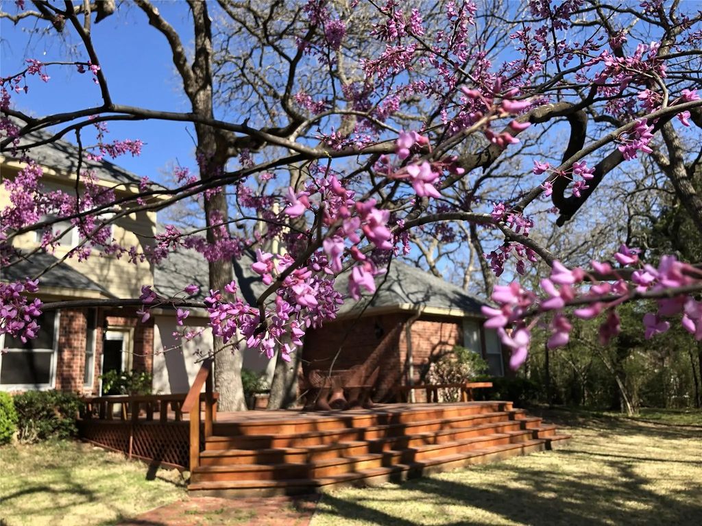 298 Comanche Moon Trail, Decatur
