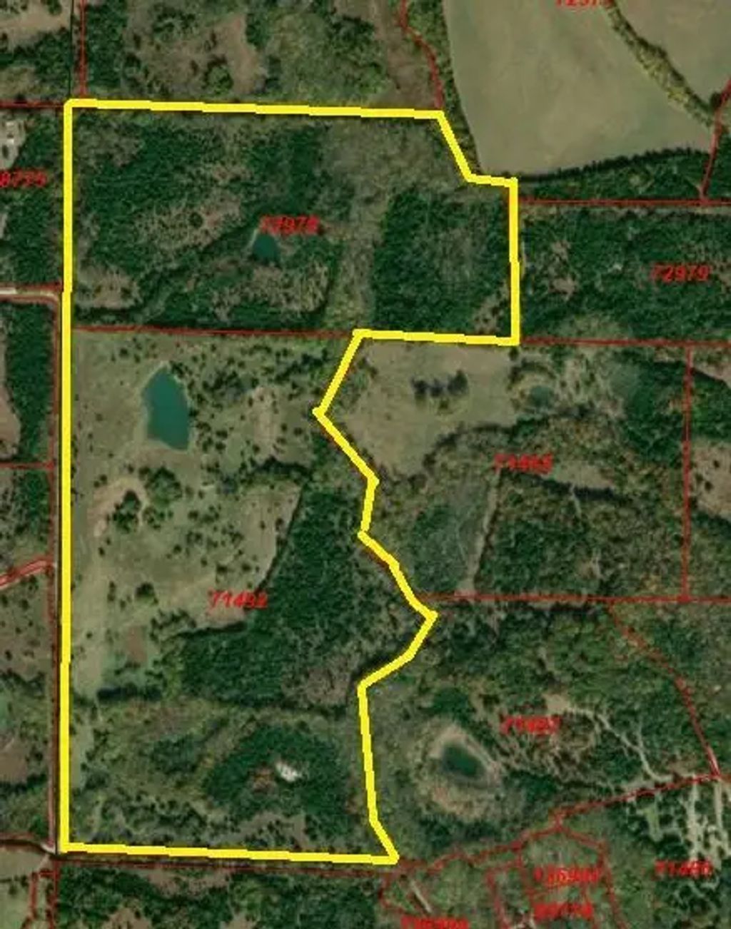 Tbd County Road 3045, Dodd City