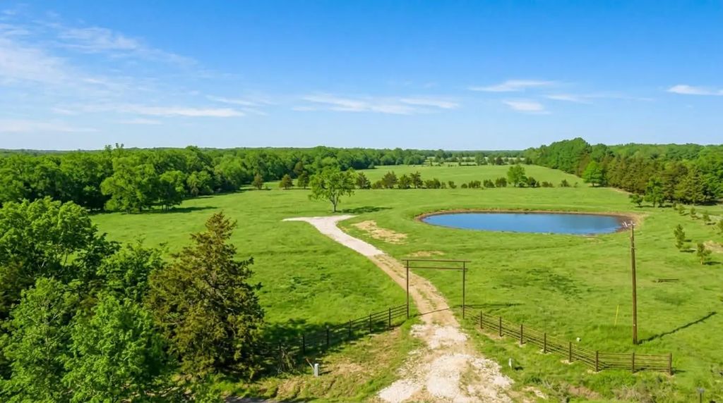 363 County Road 44880, Blossom