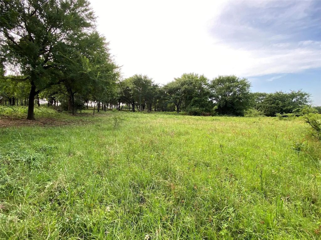 Tbd E Farm To Market 455, Pilot Point