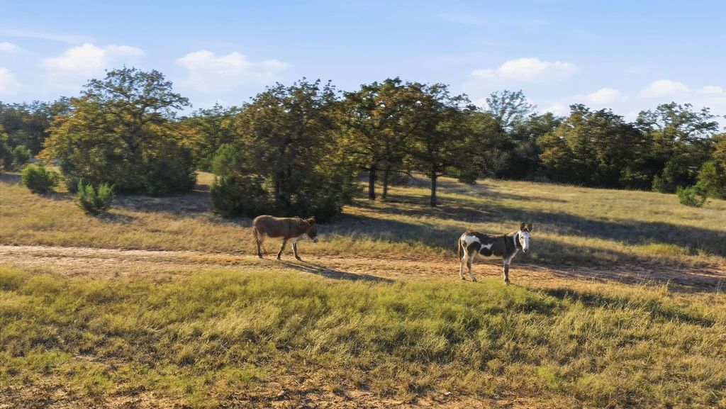 11031 Brock Highway, Lipan
