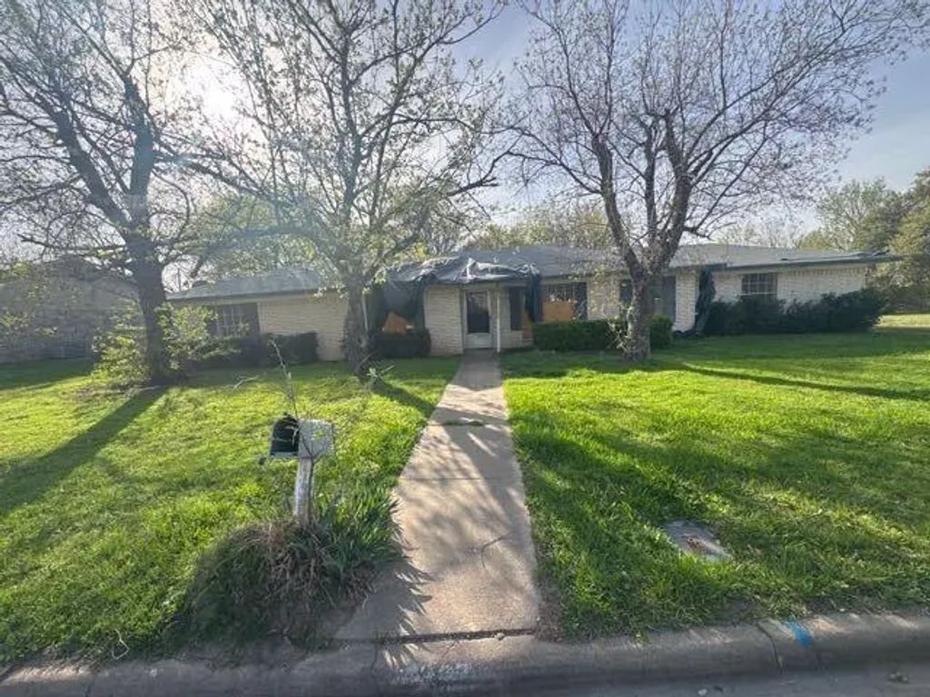 237 Palm, Marlin
