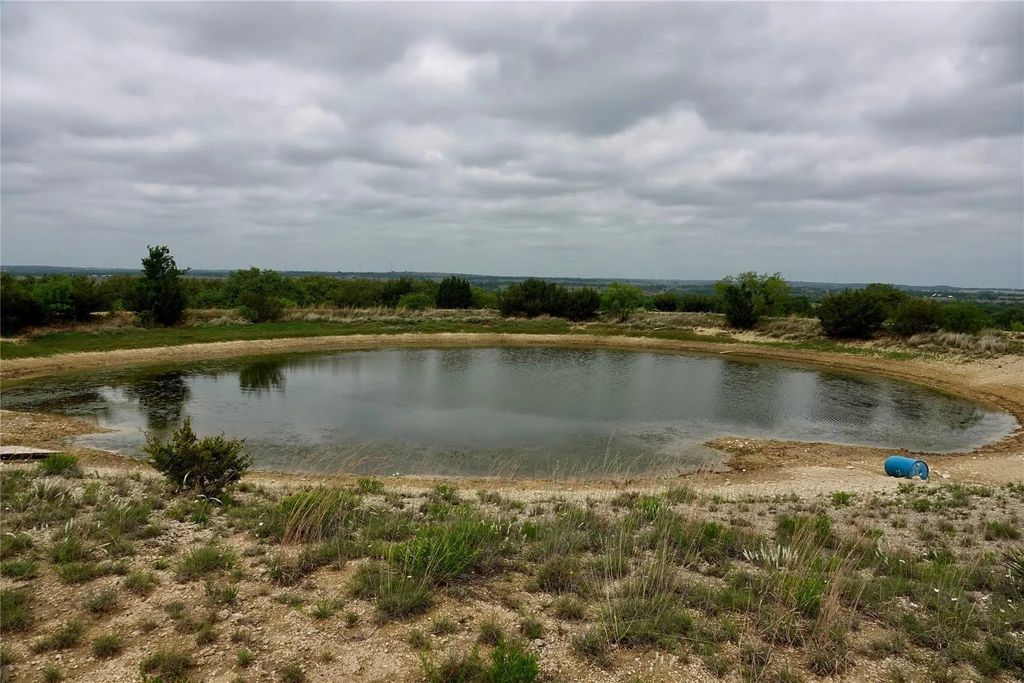 250 Cr 310, Goldthwaite