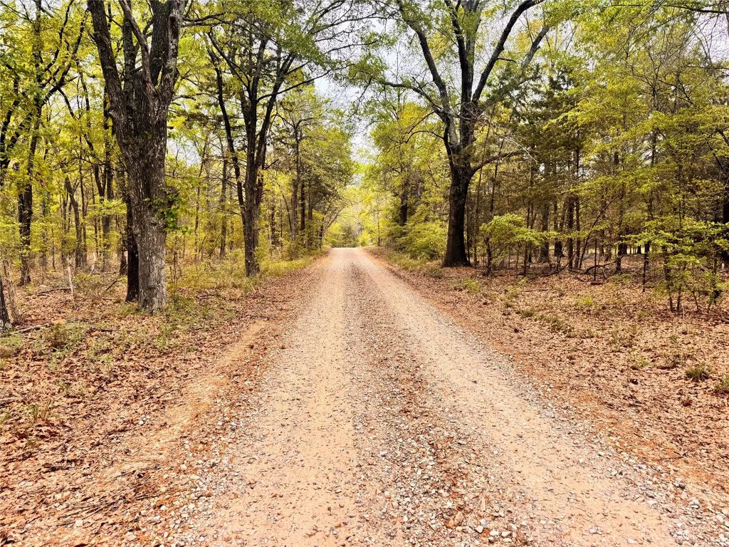 656 County Road 2680, Bonham