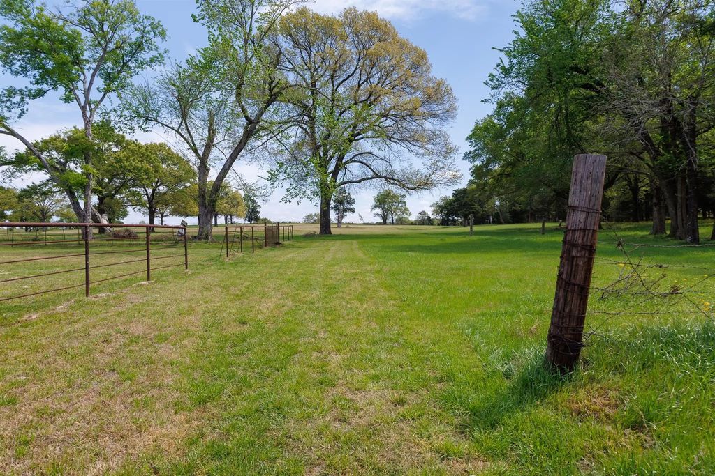 411 County Road 4313, Ben Wheeler