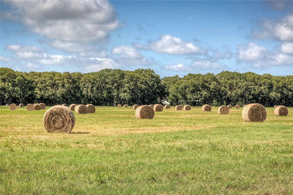 3812 County Road 120, Wills Point